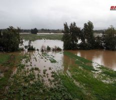 الأمطار الغزيرة تغمر مئات الدونمات من الأراضي الزراعية في سهل عكار في طرطوس(صور)