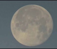 القمر العملاق في سماء الساحل السوري (فيديو)
