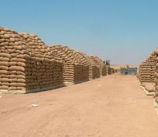 اقتراض 72 مليار ليرة  لاستيراد القمح خلال العام الجاري