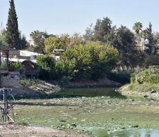 مديرية الموارد المائية في حمص تقوم بتعزيل مجرى نهر العاصي