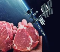 إنتاج لحم اصطناعي في الفضاء