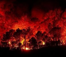"وزير الزراعة" يوضح أسباب انتشار الحرائق ويكشف عن إمكانية تعويض الفلاحين