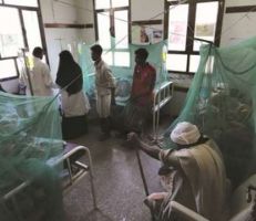 تسجيل 60 ألف إصابة: حمى الضنك تجد أرضاً خصبة في اليمن المنهك من الحرب