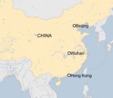 وباء التهاب الرئة في ووهان الصينية: المرض الغامض سببه فيروس كورونا