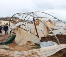 أضرار بالمحاصيل الزراعية جراء الرياح والصقيع في ريف اللاذقية