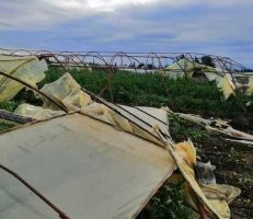 قرية المنطار بطرطوس تتعرض لتنين بحري يتسبب بأضرار بالبيوت البلاستيكية