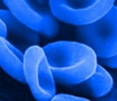 “الدم الأزرق” لعلاج كورونا
