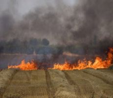 3158 دونم أضرار  المحاصيل والأشجار المثمرة نتيجة الحرائق في حمص
