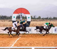 الجمعية السورية للخيول العربية الأصيلة تستأنف سباقات السرعة