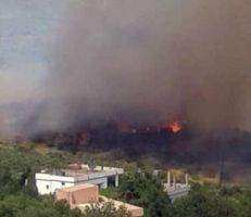 300 دونم أضرار حريق العيسوية على طريق كسب البسيط