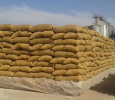 رئيس اتحاد الفلاحين في القنيطرة يطالب بإحداث مركز لاستلام الحبوب في المحافظة