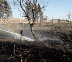 اندلاع حريق في أشجار حراجية وزيتون على امتداد 40 دونم بريف حمص