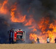 رئاسة مجلس الوزراء: لا تعويض للفلاحين المتضررين من الحرائق المفتعلة