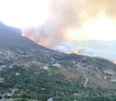 السيطرة جزئياً على حريق جبال عين الكروم بحماة (صور)