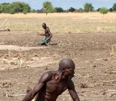 الأمم المتحدة تحذر من مجاعة في 4 دول إحداها عربية