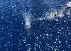 لعبة الحوت الأزرق تتسبب بمقتل 3 شبان إيرانيين غرقاً