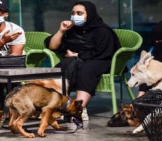 افتتاح أول مقهى لعشاق الكلاب في السعودية