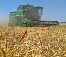 وزير الزراعة: هذا العام عام القمح والأولوية في توزيع المازوت للمشاريع الزراعية