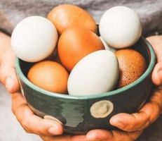 ماهو الفرق بين البيض ذي القشرة البنية والقشرة البيضاء؟