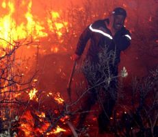 وفاة شخصين في حرائق ضخمة بغابات تيبازة في الجزائر