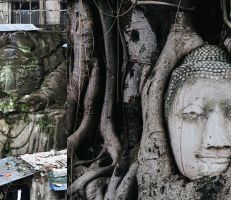 العثور على تمثال لبوذا مقطوع الرأس في الصين