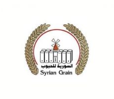 السورية للحبوب تخصص 46 مركزاً لاستلام وشراء الأقماح من الفلاحين