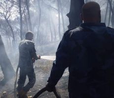 اندلاع حرائق في مناطق متفرقة من محافظة طرطوس وفرق الإطفاء تتعامل معها .