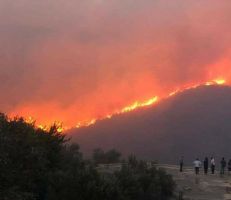 أسبوع “ناري” في اللاذقية .. إخماد 43 حريقاً وإصابة رئيس فرقة إطفاء