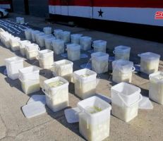 حمص: ضبط 225 ألف حبة كبتاغون معدة للتهريب خارج البلاد (صور)