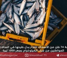 تقرير تفتيشي يكشف حالة فساد .. السورية للتجارة باعت عشرات أطنان السمك للتجار بدل المواطنين