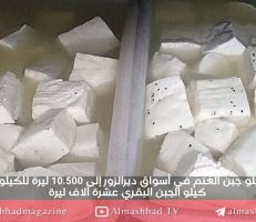 سعر كيلو الجبن يتخطى حاجز العشرة آلاف ليرة