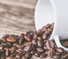 بسبب ارتفاع الأسعار والتغيرات المناخية: نقص في المعروض وارتفاع في أسعار القهوة عالمياً