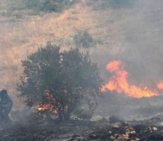 منصة الغابات ومراقبة الحرائق في سورية تتوقع دخول موسم الحرائق مبكراً هذا العام