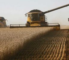 الحرب يمكن أن تقضي على  نصف إنتاج المحاصيل في أوكرانيا