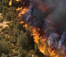 ارتفاع عام بمؤشرات خطورة الحرائق وتأثر مساحات من غابات الجبال الساحلية بها