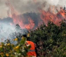 منصة الغابات ومراقبة الحرائق تحذر من تؤثر مواقع غابات شمال سورية بمؤشرات الخطورة