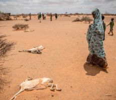 المجاعة تتهدد 22 مليون شخص على الأقل في القرن الإفريقي