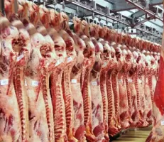 جمعية اللحامين : عدم ارتفاع أسعار اللحوم بسبب قلة الطلب عليها