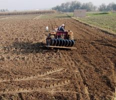 ازدياد مساحات زراعة محصول القمح بدير الزور والفلاحون يطالبون بتوفير المحروقات والسماد
