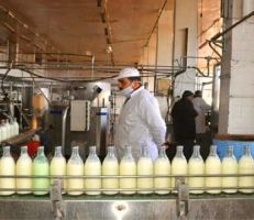 مدير عام شركة ألبان حمص  يتحدث عن صعوبات العمل: "صعوبة توفير الحليب الخام وارتفاع الأعلاف ونقص كبير بالخبرات الفنيّة"