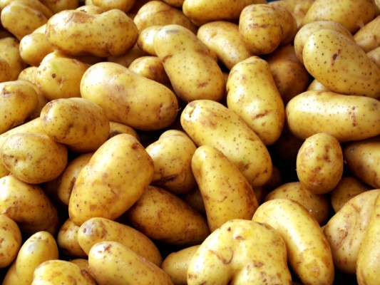 توزيع 200 طن من البطاطا المستوردة بسعر 300ليرة في حمص