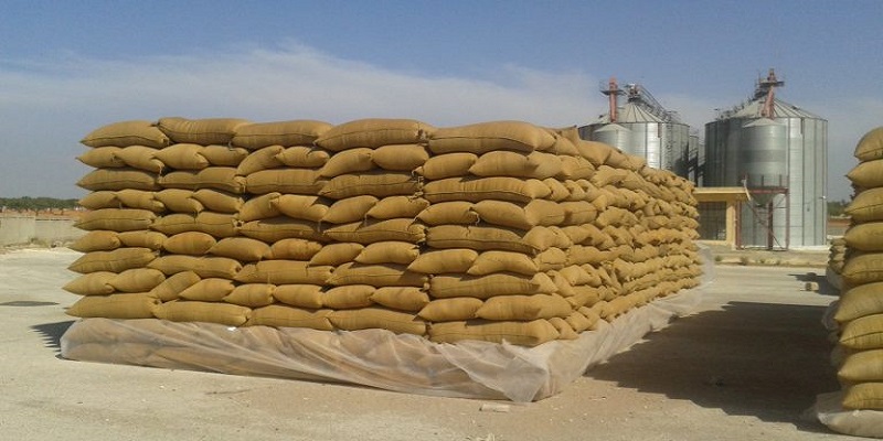 السورية للحبوب تستلم ٢٠٠ طن خلال يوم واحد
