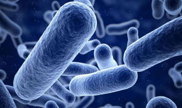 دراسة "مستشفيات ومحطات لندن غارقة بالبكتيريا"