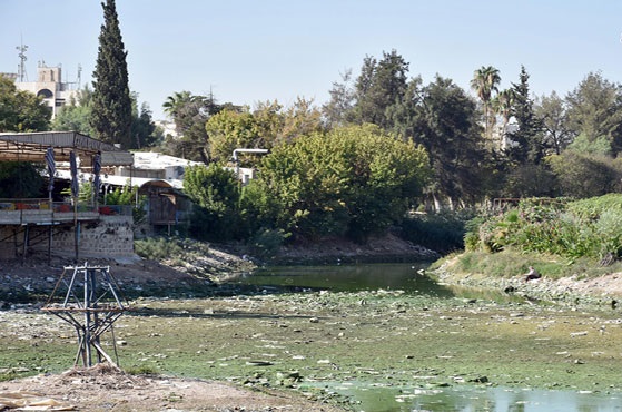 مديرية الموارد المائية في حمص تقوم بتعزيل مجرى نهر العاصي