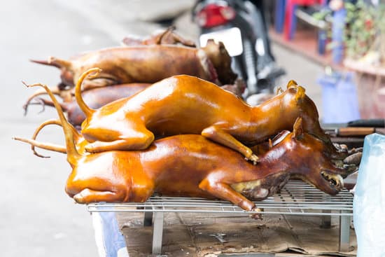 المسؤولون في فيتنام يحثون السكان على التوقف عن أكل لحم الكلاب