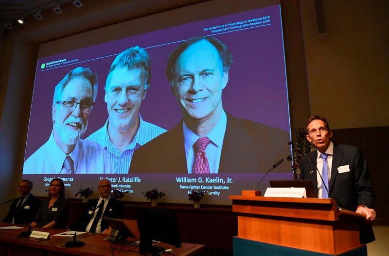 جائزة نوبل في الطب 2019  لكيفية استشعار وتكيف الخلايا مع الأوكسجين