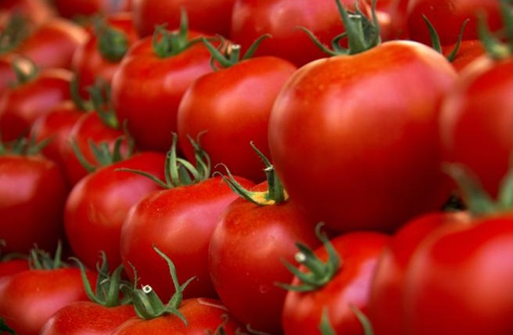 دراسة تكشف الطماطم تساعد على تحسين الخصوبة