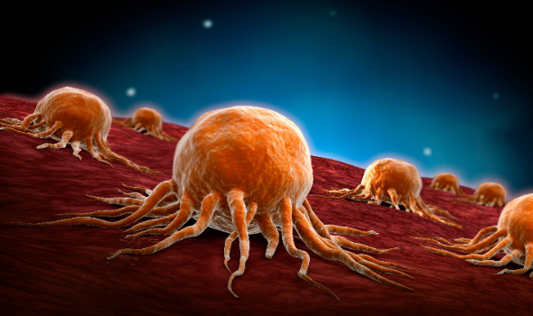 علماء يبتكرون فيروس يمكنه قتل جميع أنواع السرطان