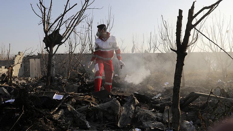 الرئيس الأوكراني: الحكومة تدرس عدة أسباب محتملة وراء تحطم الطائرة في إيران