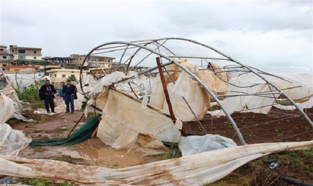 أضرار بالمحاصيل الزراعية جراء الرياح والصقيع في ريف اللاذقية